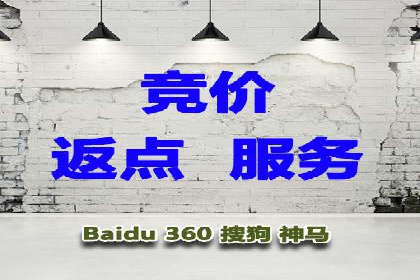 竞价排名在电商行业的实战案例
